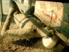 Pompei - Particolare Uomo Carbonizzato